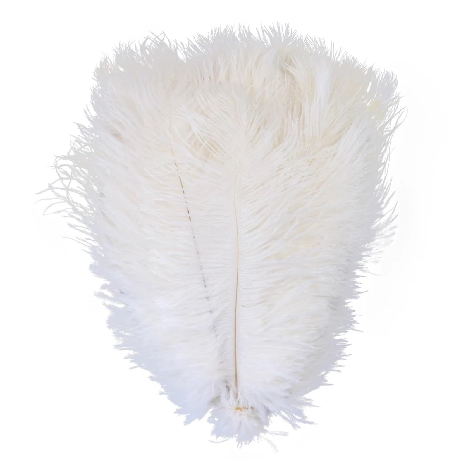 Ostrich Feathers Ostrich Feather for Wedding Decoration Handicraft Accessoires DIY Dream Catcher 15-55CM/6-22Inch Plume Decor 10pcs(12 White,50-55cm 20-22inch)
