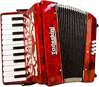 Acordeom/sanfona/gaita Todeskini 8 Baixos Proficional Novo