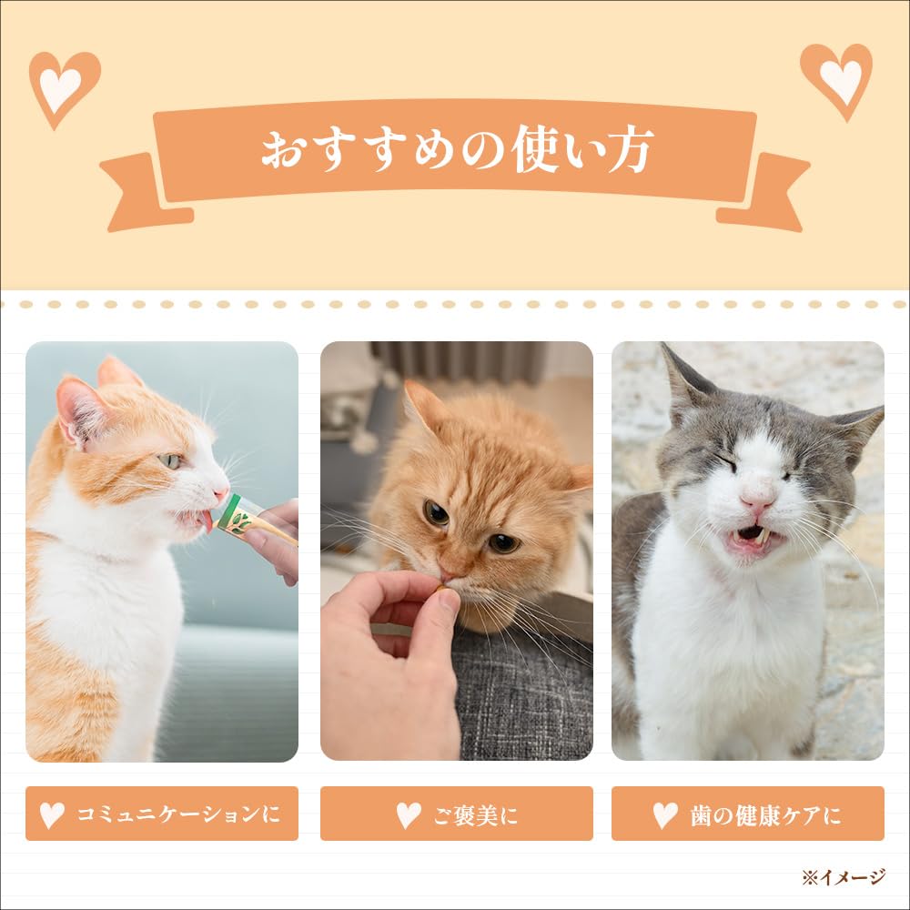 Amazon.co.jp: モンプチ クリスピーキッス 特大バラエティパック 672g