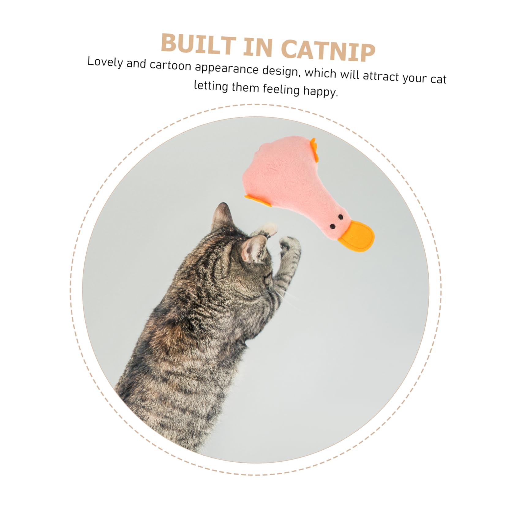 SUPVOX 20pièces Jouets Peluche pour Chats avec Cataire Jouets Amusants pour Intérieur Accessoires pour Animaux De Compagnie
