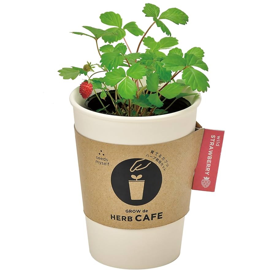 宗仙壺 仙遊洞 灰陶 布目印文小壺