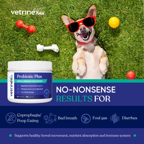 Vetrinex Labs Probiotic - Coprophagia Treatment For Dogs - Stop And Prevent Dog From Eating Poop - No Stool Eating, Deterrent And Prevention - Probiotics Powder For Cats, Dogs & Puppies #TOP1