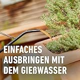 COMPO BIO Olivenbaumdünger – Olivenbäume düngen mit 100 Prozent natürlichen Inhaltsstoffen – Spezial-Flüssigdünger – 500 ml