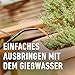 COMPO BIO Olivenbaumdünger – Olivenbäume düngen mit 100 Prozent natürlichen Inhaltsstoffen – Spezial-Flüssigdünger – 500 ml