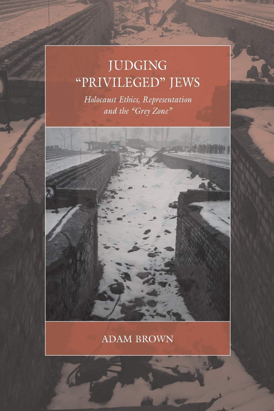 Judging 'Privileged' Jews: Holocaust Ethics, Representation, and the 'Grey Zone' (War and Genocide Book 18)