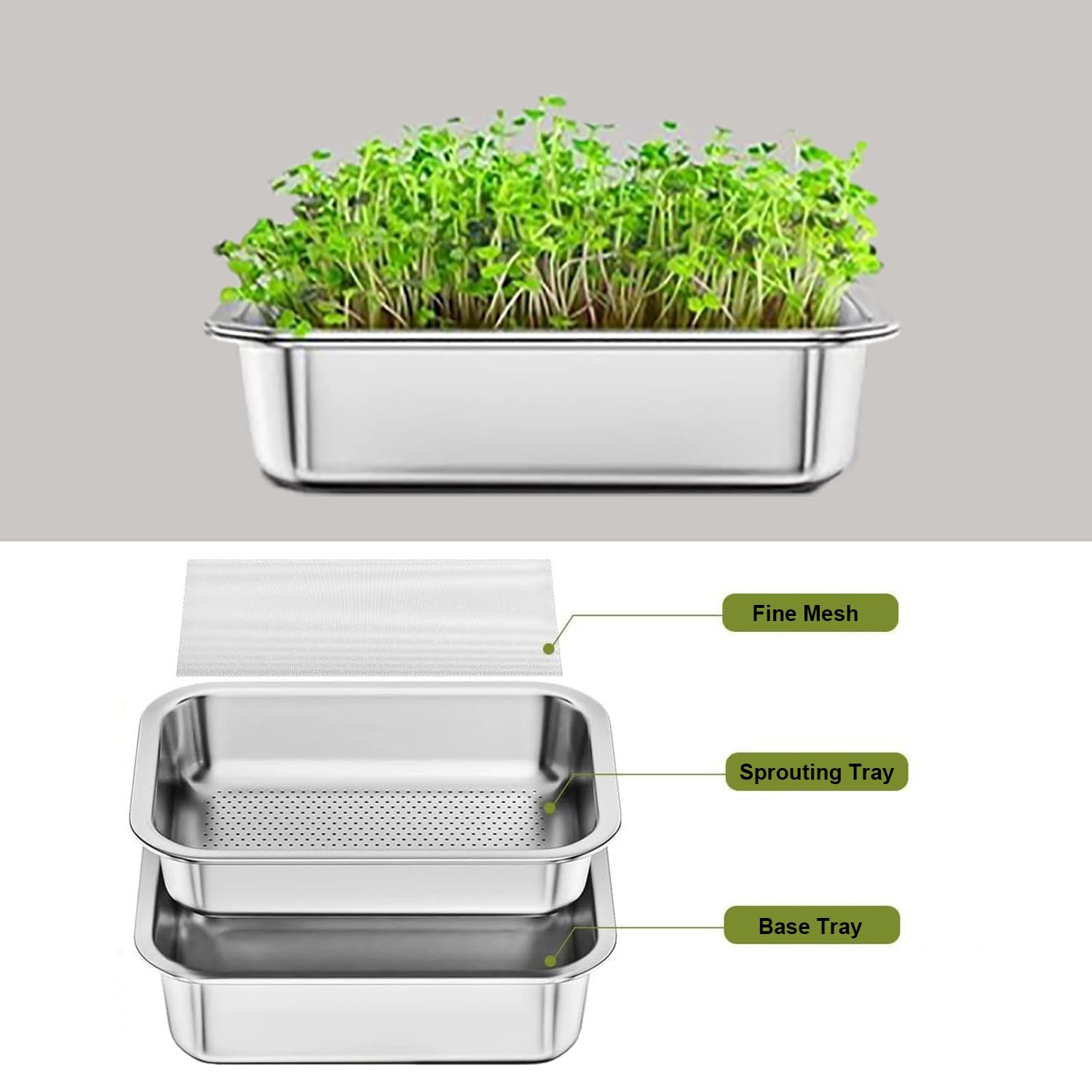 Kit di 2 Vassoi Germogliatore,Ciotola 2 in 1 con Doppia Dimensione, Acciaio Inox, Lavabile in Lavastoviglie,per Coltivare Erba di Grano Sana, Kit per Piantine di Piante da Interno