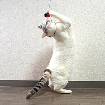 Amazon | iCat FLYING CAT 釣りざお猫じゃらし てんとう虫ボール