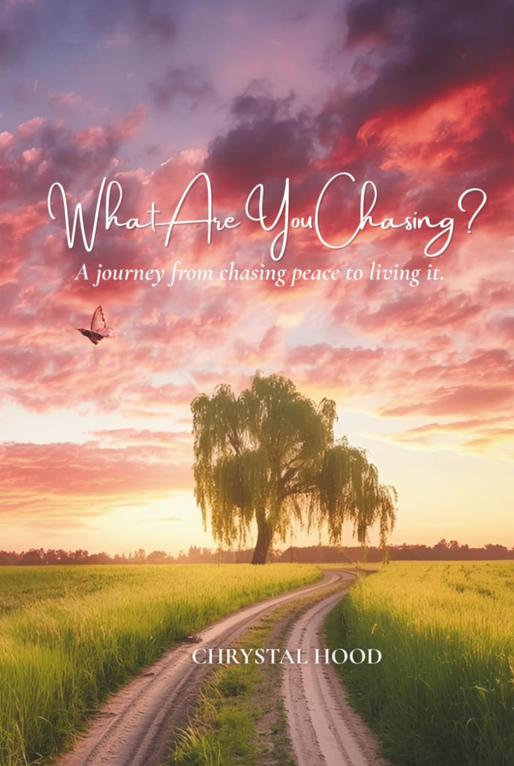 What Are You Chasing?: A journey from chasing peace to living it.