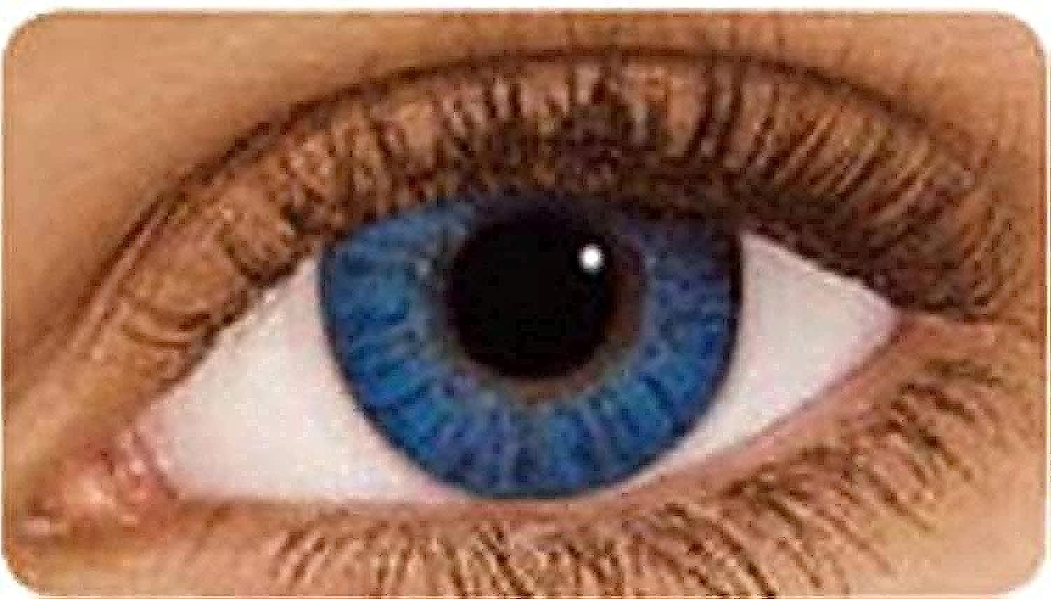 Freshlook Colorblends Brilliant Blue