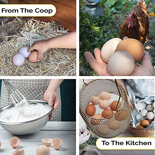 Auhafaly Egg Basket, Collapsible Mini Storage - Can Easily Load Eggs For Carrying And Collecting Eggs, Easy Washing, And Fast-Drying, Country Primitive Farmhouse Style (Medium) #TOP4