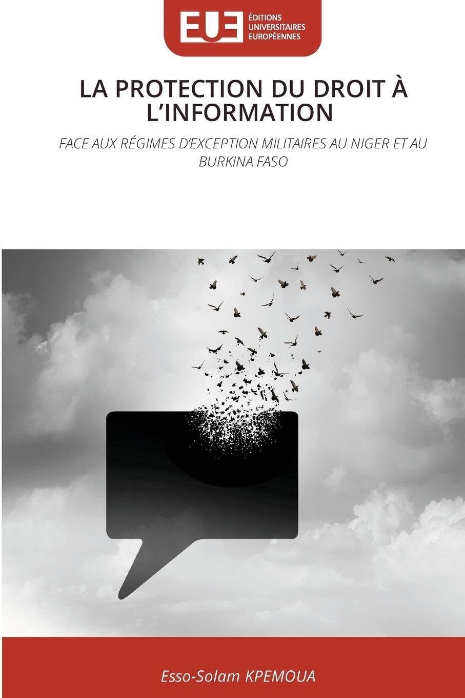 La Protection Du Droit À l'Information: FACE AUX RÉGIMES D'EXCEPTION MILITAIRES AU NIGER ET AU BURKINA FASO