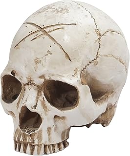 Tubayia Estatua de cabeza humana con forma de calavera, anatomía, esqueleto, esqueleto, hueso, decoración para el hogar, bar, color blanco