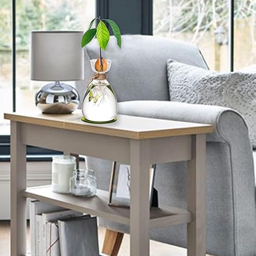 Miniatura 6 de Florero de semillas de aguacate, jarrón de cristal para principiantes de semillas de aguacate con alfombrilla absorbente y calcomanías de mariposa,