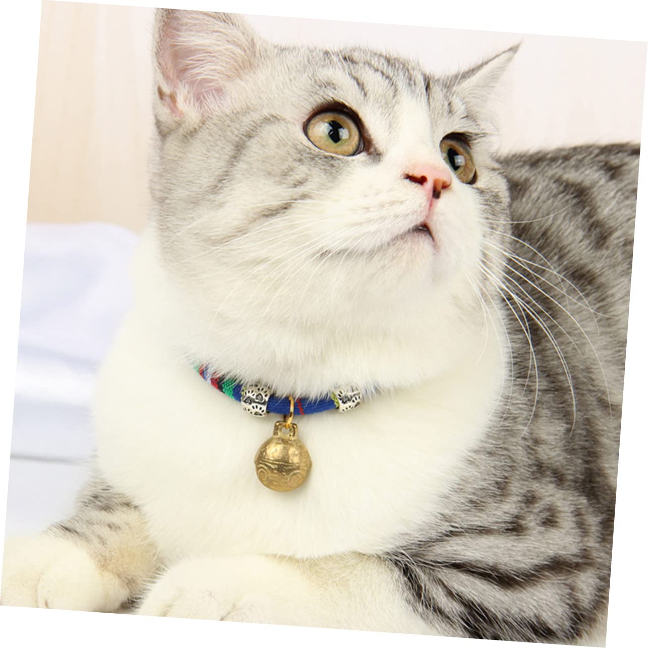 INOOMP 9pezzi Collarper Gatti Con Campanello Stile Collare Regolabile Per Gatti Accessori Per Animali Domestici Per Ogni Occasione