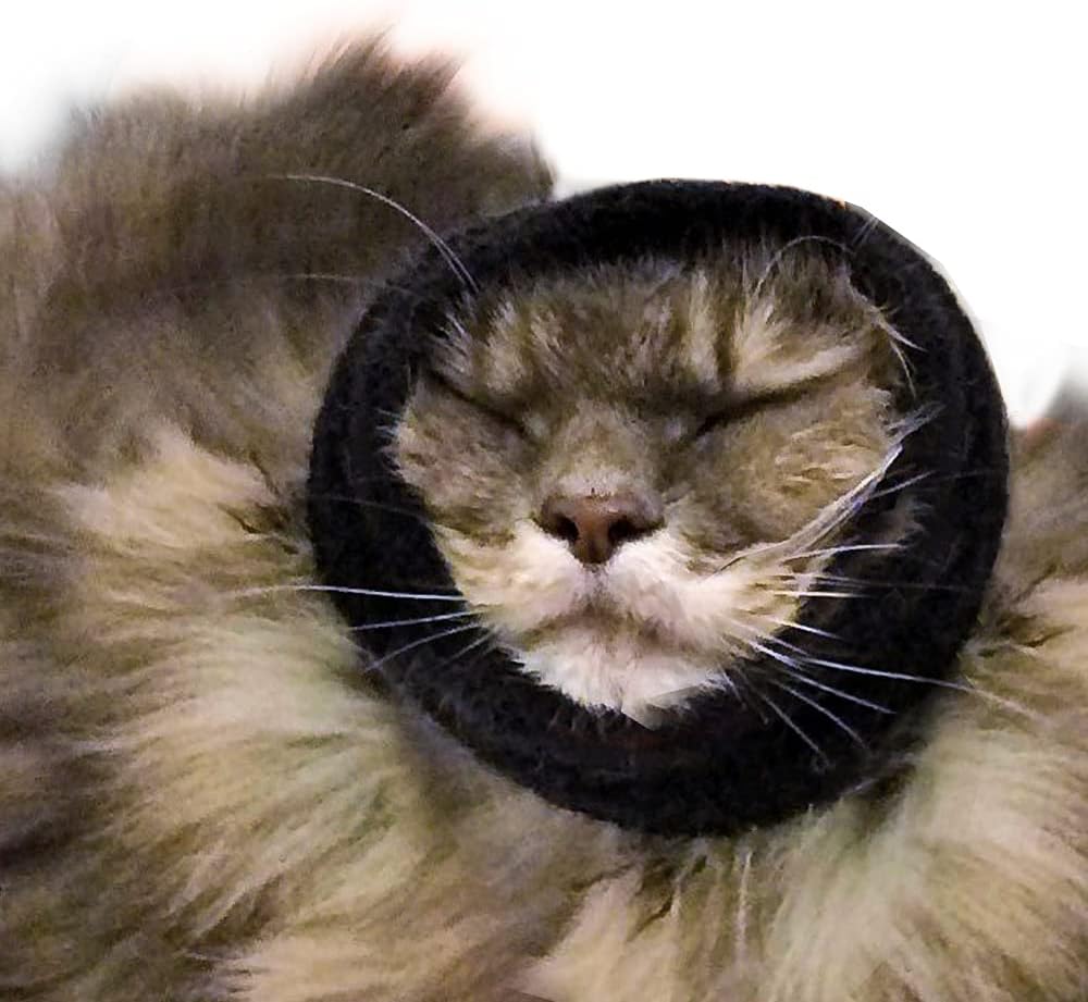 Happy hoodie amazon Clearance