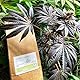 ALMICANNA: Greensand 100% Clinoptilolite 1kg - Amendment im Living Soil - Natürlicher Dünger für Pflanzen - Bodenverbesserer
