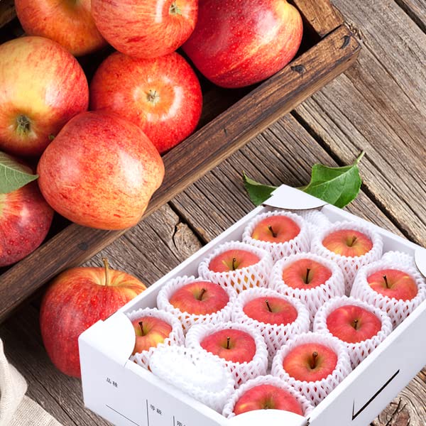 北のデリシャス 山形県産 高徳りんご (秀品/常温品) 林檎 こうとく お歳暮 ギフト 贈り物 贈答 お祝い 内祝い ご家庭用 産地直送 果物 フルーツ お取り寄せ