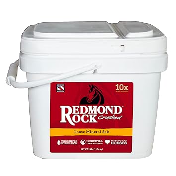 Daily Red Bucket Hydration And Mineralization