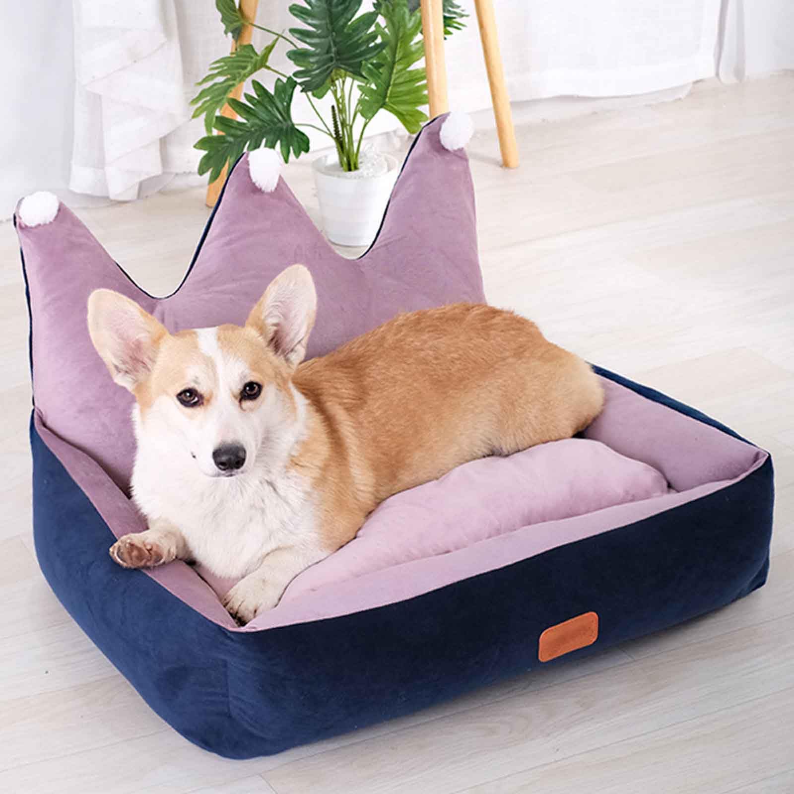 Cama Lavable para Perros y Gatos pequeños y medianos, súper Suave y esponjosa, Lavable a máquina y con Funda extraíble.