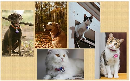 Miniatura 3 de Etiquetas de identificación con diseño de pata de purpurina para mascotas, etiquetas de perro personalizadas, etiquetas para gatos, grabadas