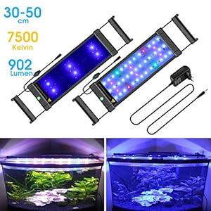 Main Luz LED, iluminación Acuario Acuario Blanco Azul Rojo Verde luz 7,5 W/16 W/22 W/31 W con ajustable Soporte para 30 cm de 50 cm/50 cm de 70 cm/70 cm de 90 cm/90 cm de 110 cm Acuario, color negro