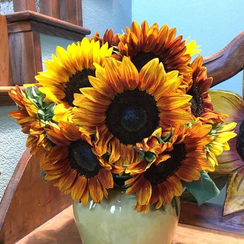 sunflower 2本 Sunny - Sunflower Seed Mix | Wildflower Seeds | Eden Brothers