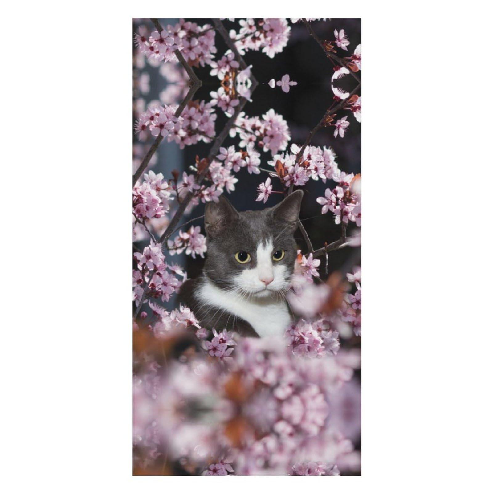 LWORZIIB Beach Towel, Cat And Cherry Blossoms Bath Towel, Pool Towel Great for Gym Swimming 80 X 160cm