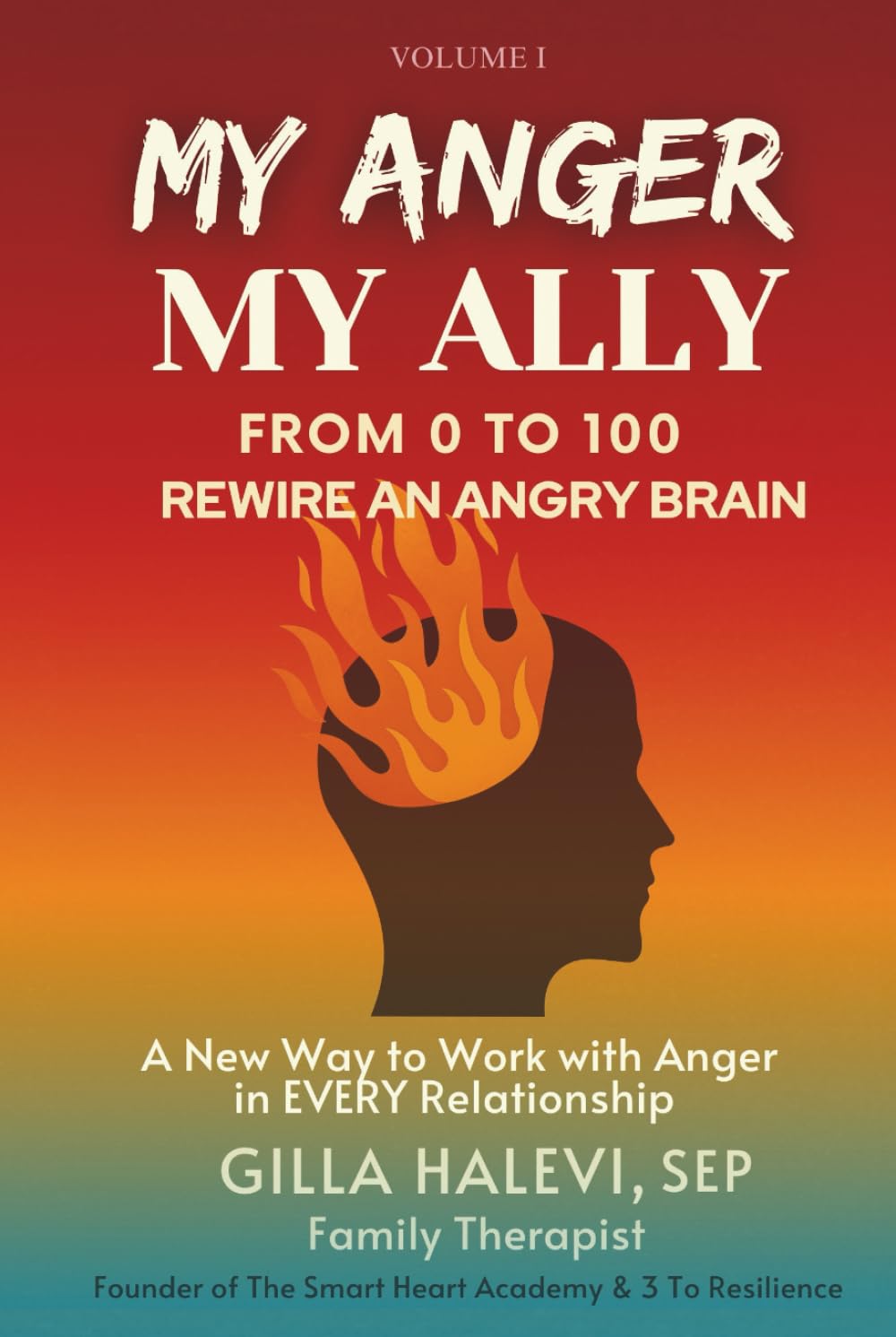 My Anger, My Ally: From 0 to 100 Rewire an Angry Brain Volume 1      Hardcover – February 12, 2026