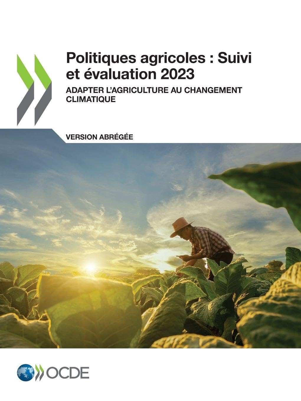 Politiques agricoles: Suivi et évaluation 2023 (version abrégée)