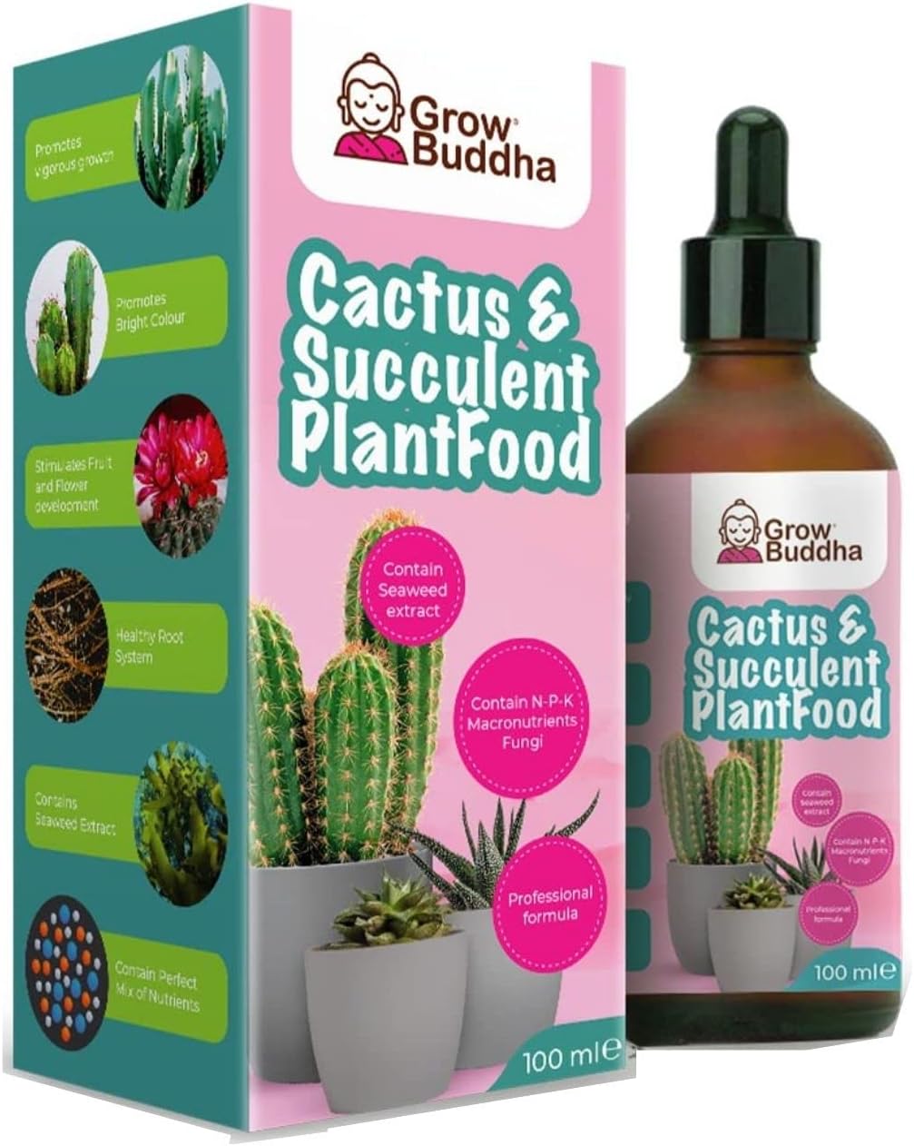 Westland 20100353 Cacti & Succulent Plant Feed Concentrate, 200 ml