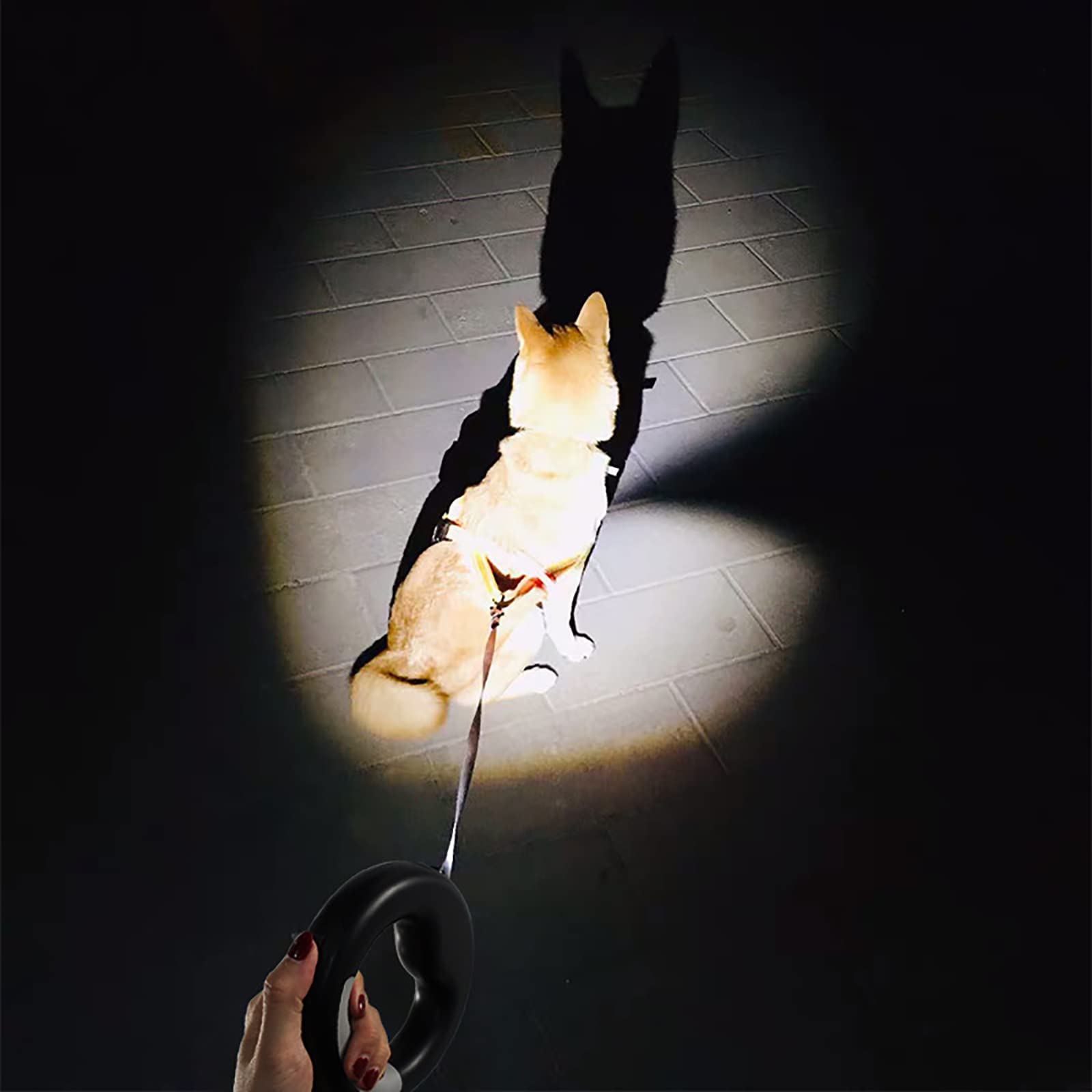 Correa para perros retráctil, correa para perros extensible de 3 m con linterna LED, freno y bloqueo de un botón, correa para perros extensible, rosa, 3 m/9,8 pies