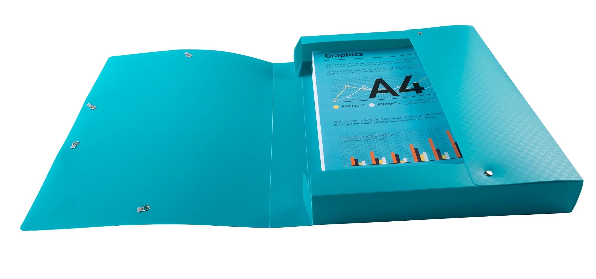 Exacompta - Rif. 59190E - 8 scatole di archiviazione con elastici Forever Young - in polipropilene riciclato - dorso 4 cm - dimensioni 25 x 33 cm - per formato A4 - consegnate montate