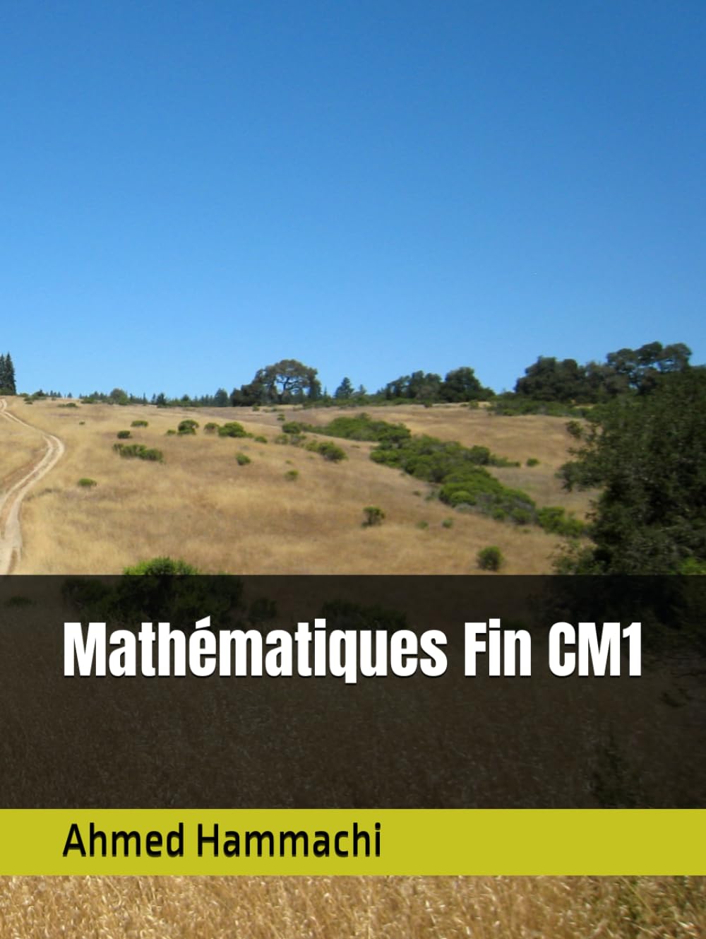 Mathématiques Fin CM1