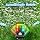 SHCKE Bubble Machine with Remote Control, Auto Rotation & 11 RGB Lights - 2