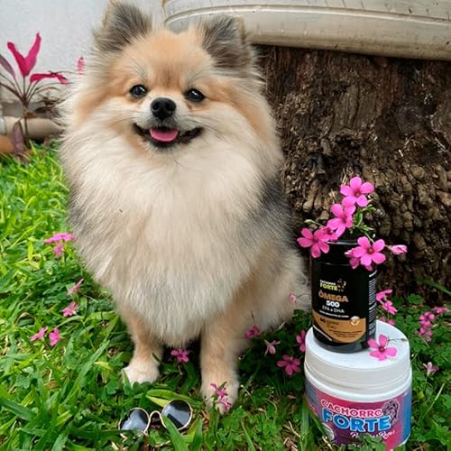 Suplemento Ômega 500 - Cachorro Forte - Suplemento Alimentar para Cães