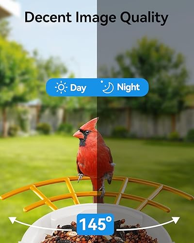 Miniatura 4 de Comedero inteligente para pájaros con cámara para exteriores, alimentadores solares exteriores, a prueba de ardillas, identificación de especies de