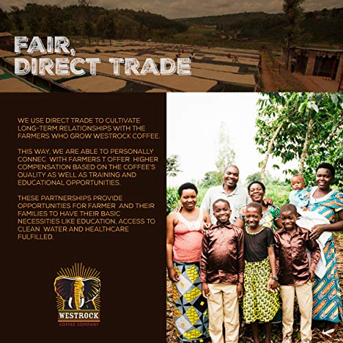 Westrock Coffee Company Organic Certified Sumatran Blend, Dark Roast, 12-Ounce Ground #TOP5