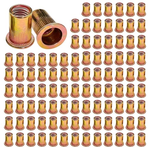 yotutun 100 Stück Nietmuttern M6, Kohlenstoffstahl Nietmuttern Runde Flachkopf Innengewinde Rivet, Einnietmuttern Verzinkt Nietmuttern Hülsenmutter, Verwendet für Metallplatten, Rohre usw