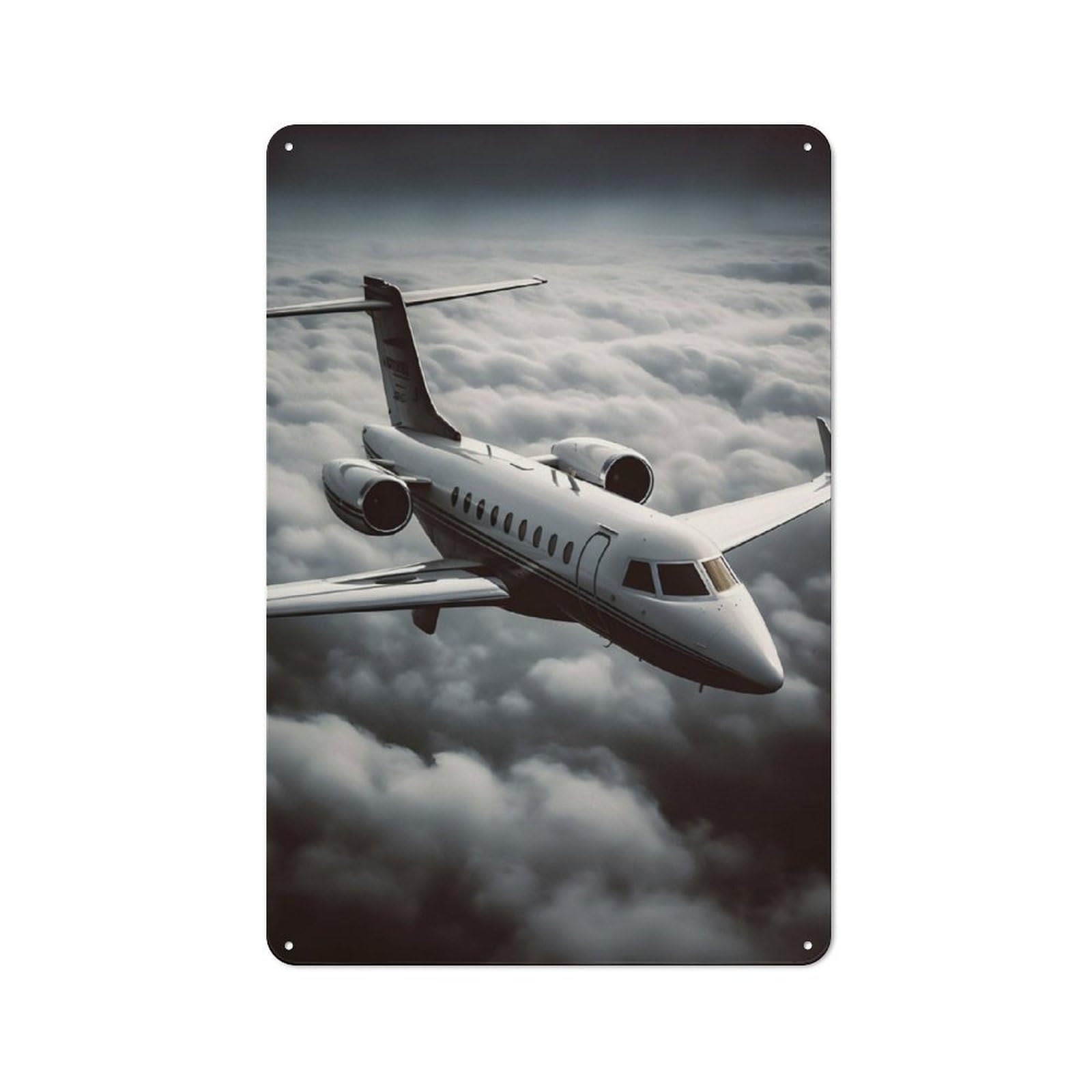 Junmoney Private Jet Flying Metal Plaque 30X20cm With For Pub Or Café, Rustic Decor, For Pub Decor Enthusiasts