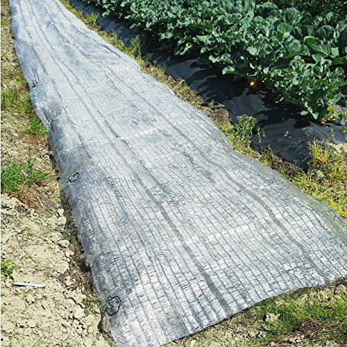 ワラ風シート マルチング材 敷きワラシルバー 1m×100m 1巻組 透水 防虫 着色促進 銀反射効果 家庭菜園