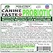 Dogzymes Canine Probiotic Paste Beneficial Bacteria-Enzyme 2.3 Billion CFU/gm Saccharomyces boulardii Organic Dried Honey Powder (30 Gram)