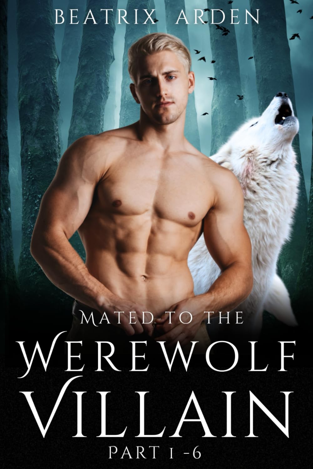 Mated to the Werewolf Villain Part 1 - 6: Spicy Fated Mates Dark Paranormal Werewolf Shifter Romance