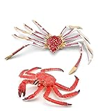 [猫神山] タラバガニ & タカアシガニ