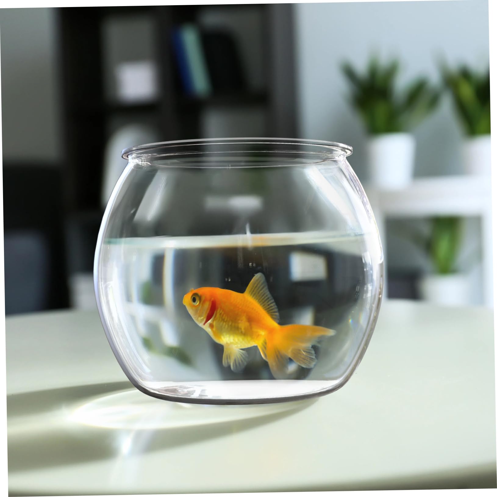 POPETPOP Pecera De Plástico Ligera y Transparente Ideal para Decorar Tu Oficina o Hogar