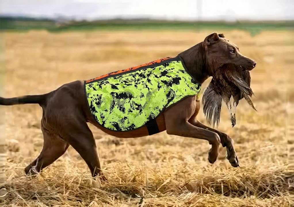 Gilet de Chasse Gilet de sécurité Camouflage Haute visibilité pour Petits et Grands Chiens - Harnais de sécurité pour la Chasse en Plein air, la randonnée, la Marche
