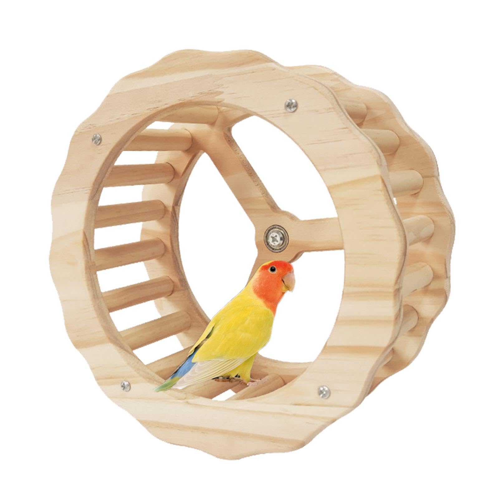 Roue de course pour oiseaux anti-ennui stimulant l'agilité