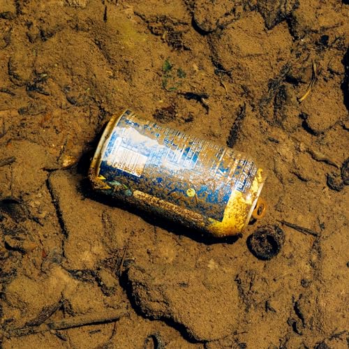 1x06 - M&uacute;sica... M&uacute;sica... Futuro... Futuro... cover art