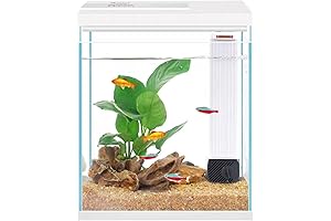 2-Gallon Glass Aquarium Starter Kit: The Ideal Betta Fish Tank