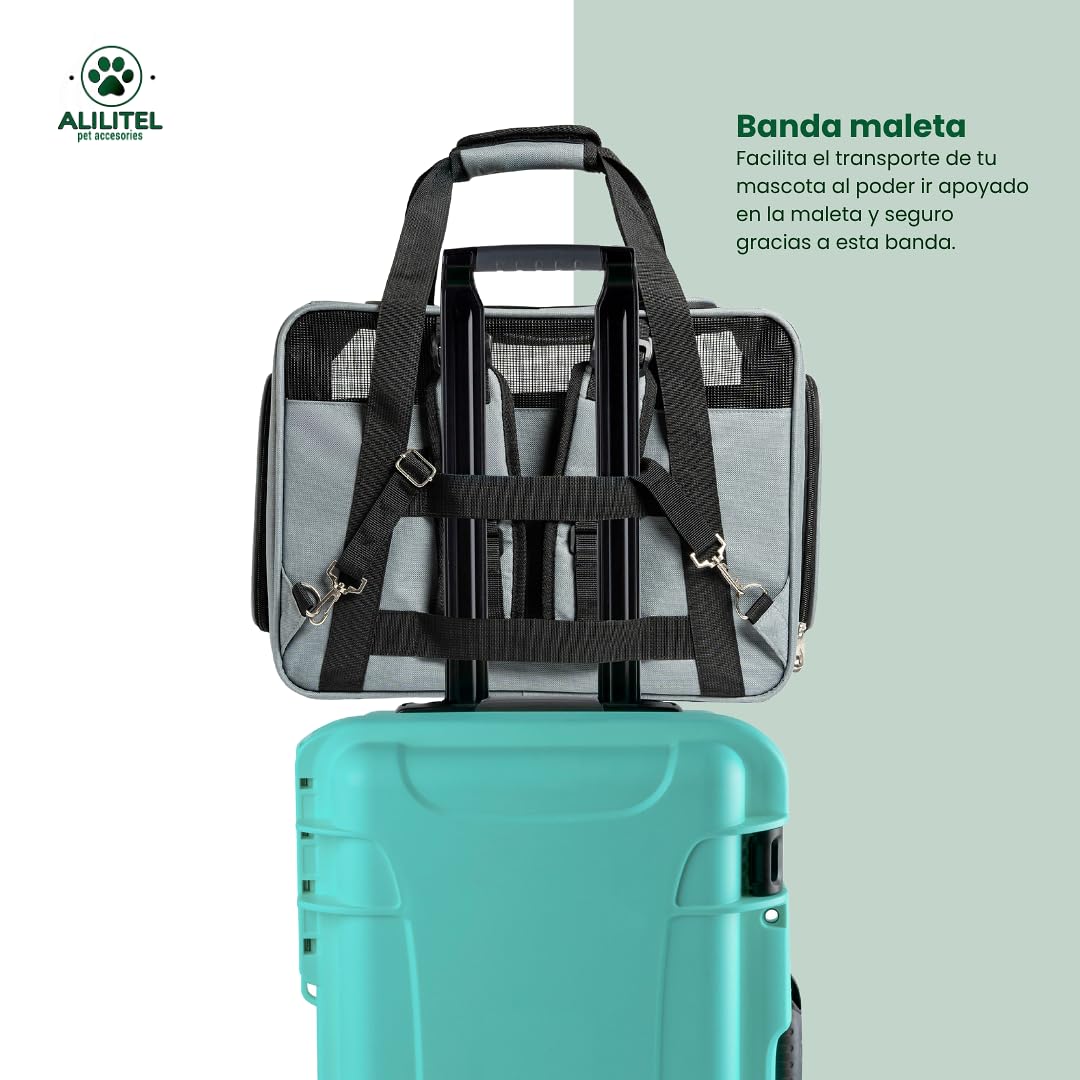 Transportin Gato Perro, Mochila Transporte para Mascotas, Transportin Transpirable con Asas y Correa de Hombro, Incluye Organizador de Documentos