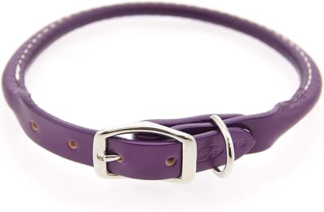 Purple rolled leather dog collar Clearance